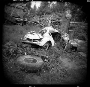 AK_Hope_VWbug.jpg